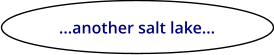 ...another salt lake...