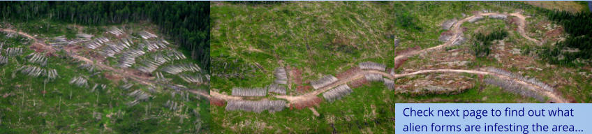 Check next page to find out what alien forms are infesting the area...