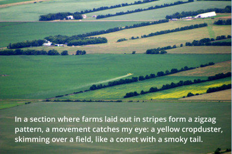 In a section where farms laid out in stripes form a zigzag pattern, a movement catches my eye: a yellow cropduster, skimming over a field, like a comet with a smoky tail.