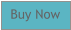Buy Now